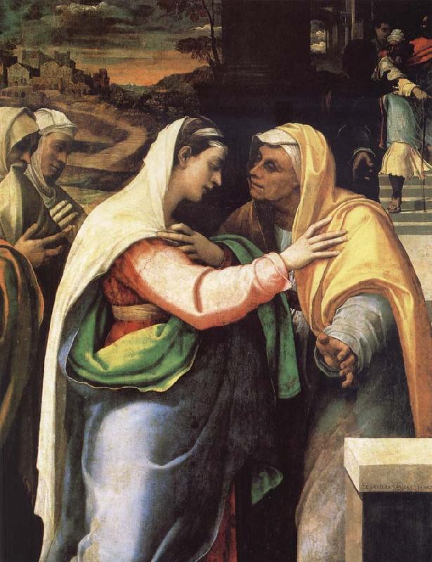 Sebastiano del Piombo The Visitacion oil painting image